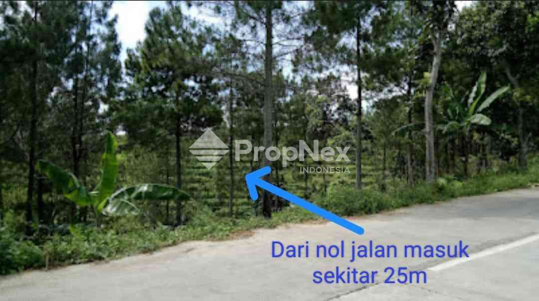 Tanah Komersial Desa Cembor - Pacet Mojokerto — foto 3